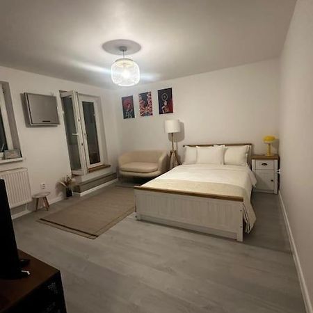 Appartamento Studio Cozy Piata Victoriei Bucarest Esterno foto
