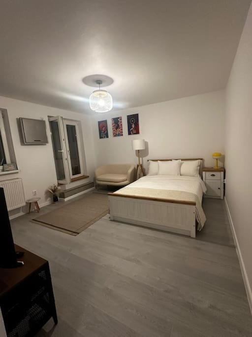 Appartamento Studio Cozy Piata Victoriei Bucarest Esterno foto