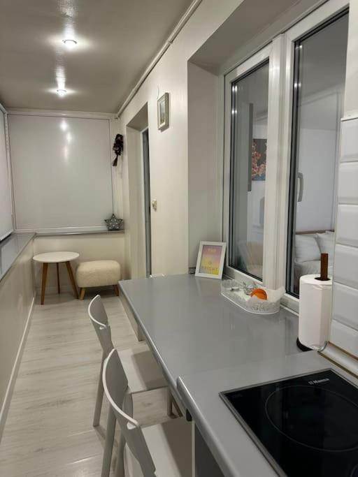 Appartamento Studio Cozy Piata Victoriei Bucarest Esterno foto